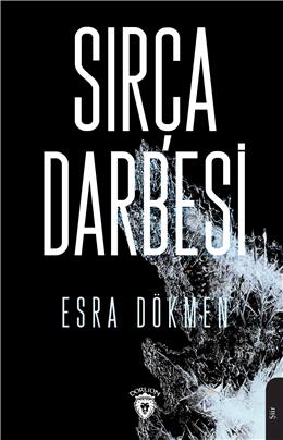 Sırça Darbesi